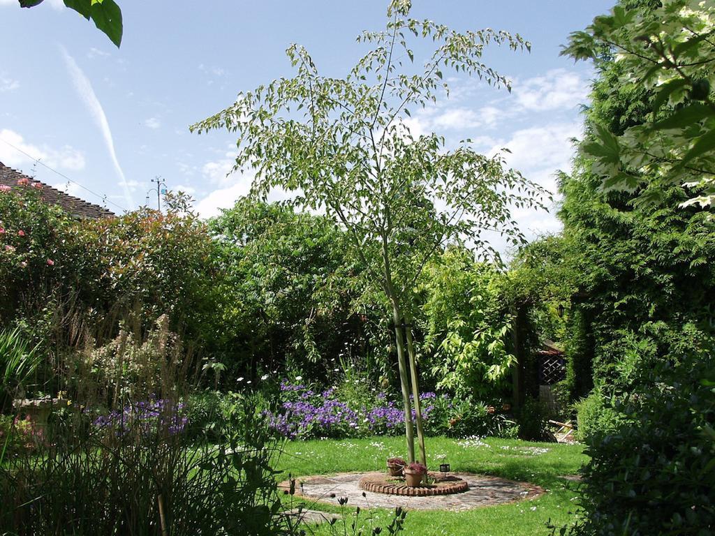 The Coach House Villa Ledbury Rom bilde